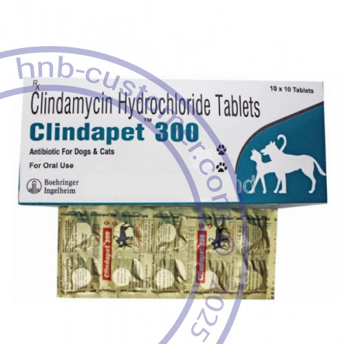 Clindapet photo