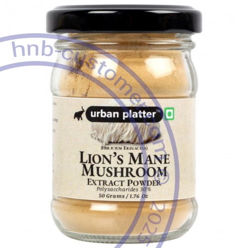 Lions Mane Mushroom Powder photo