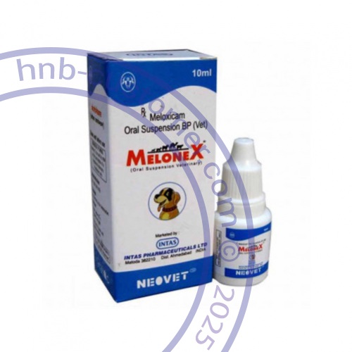 Melonex Oral photo